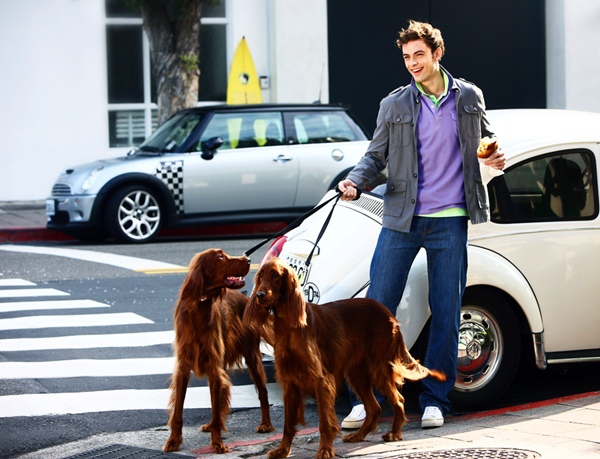 狗狗來了.jpg 狗狗來了.jpg