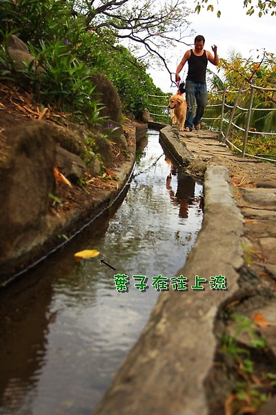 IMG_8972.JPG IMG_8972.JPG