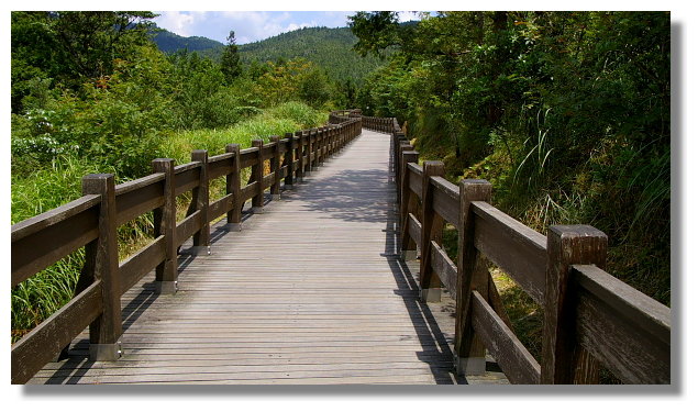 翠峰湖環山步道 翠峰湖環山步道
