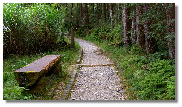 翠峰湖環山步道 翠峰湖環山步道