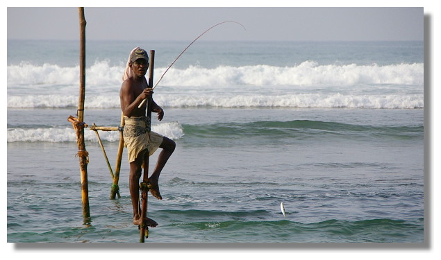 立釣(stilt fishing)