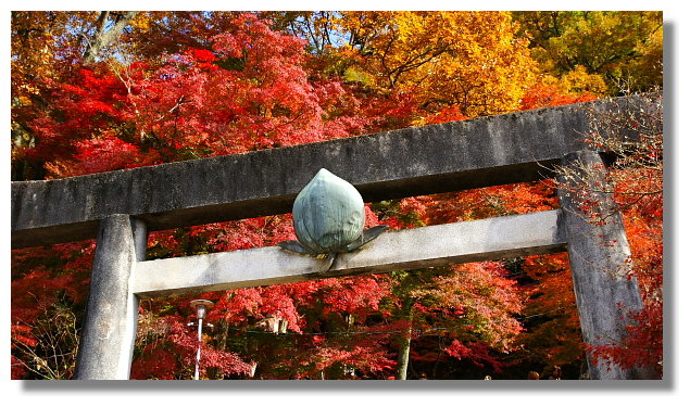 犬山桃太郎神社 犬山桃太郎神社
