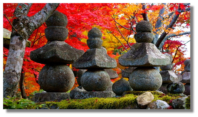 京都化野念佛寺 京都化野念佛寺