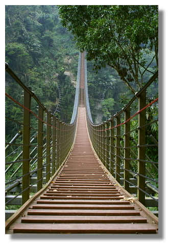 南投竹山天梯(梯子吊橋) 南投竹山天梯(梯子吊橋)