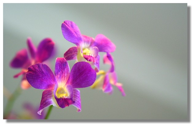 曼谷Lebua Hotel 曼谷Lebua Hotel