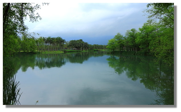 花蓮雲山水自然生態農莊 花蓮雲山水自然生態農莊