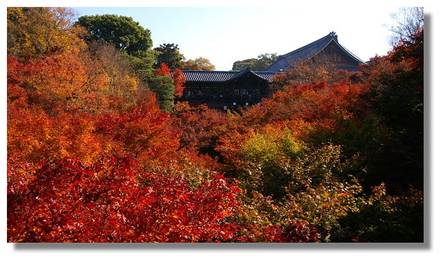 京都東福寺 京都東福寺