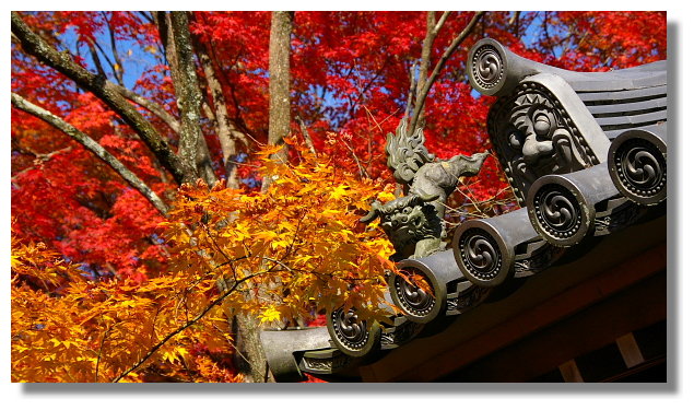京都常寂光寺 京都常寂光寺