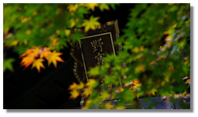 京都野宮神社 京都野宮神社