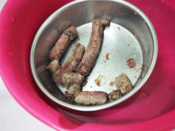 Yummy K9-5(20120229)-1