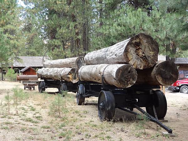 Collier Logging Museum (2)