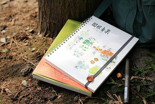 第11號 神社旁的青果店