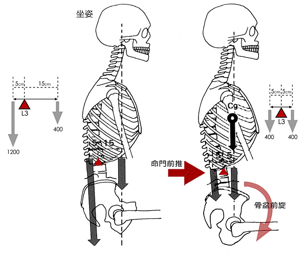 坐姿挺腰 坐姿挺腰