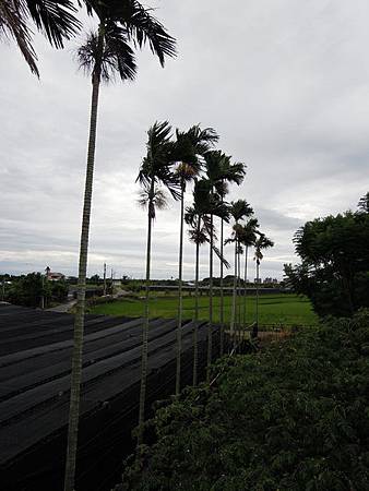 199851730_x.jpg 199851730_x.jpg