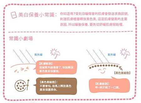 美白保養小常識 試用