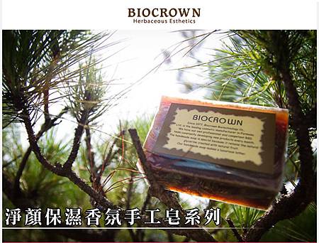 手工皂EDM_01 試用