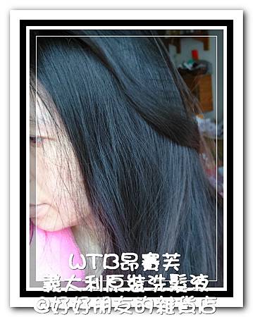 試用