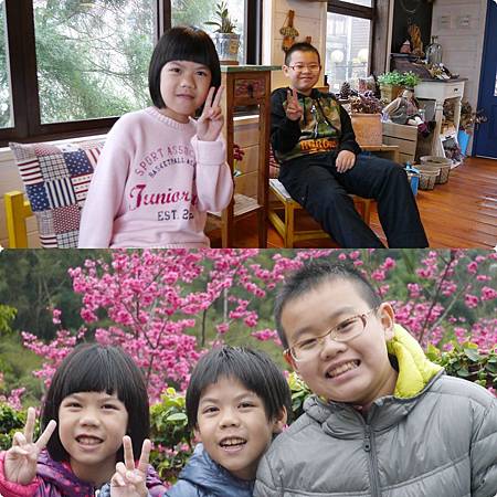 橄欖樹20.jpg 橄欖樹20.jpg