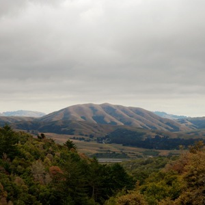 Dirty Projectors & Bjork-Mount Wittenberg Orca