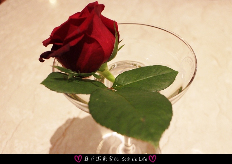 IMG_9299.JPG IMG_9299.JPG