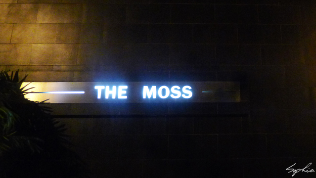 MS_01 MS_01