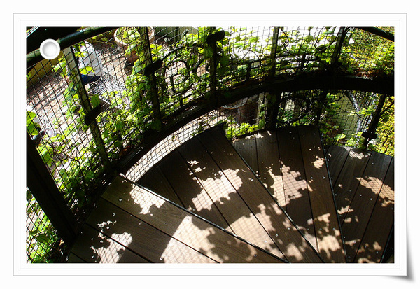 DSC09168.JPG DSC09168.JPG