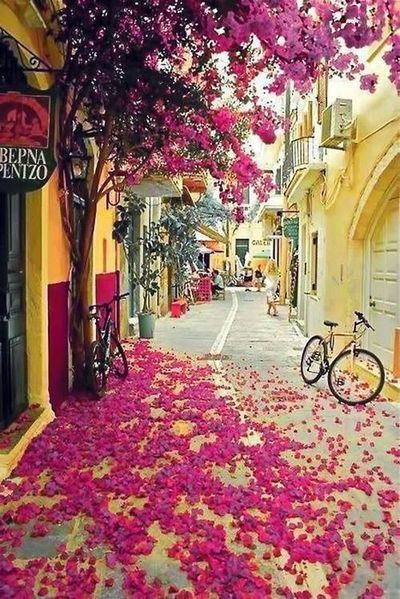 The colorful streets of Corfu, Greece.jpg The colorful streets of Corfu, Greece.jpg