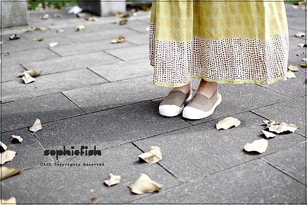 IMG_1264 IMG_1264