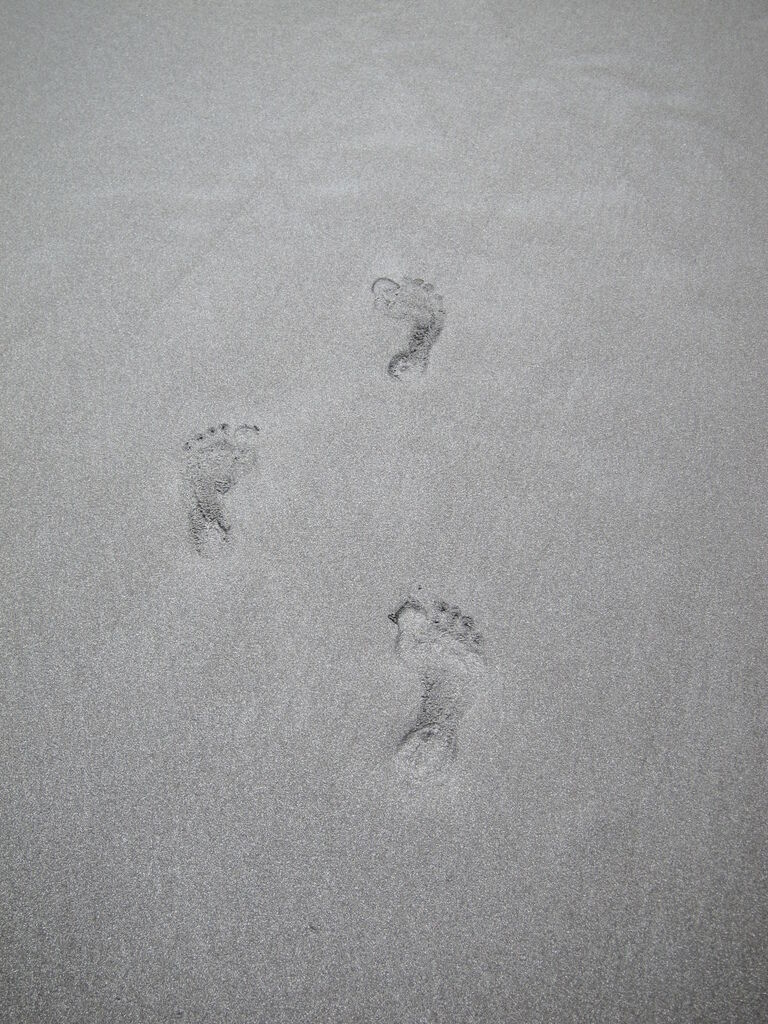IMG_6415.JPG