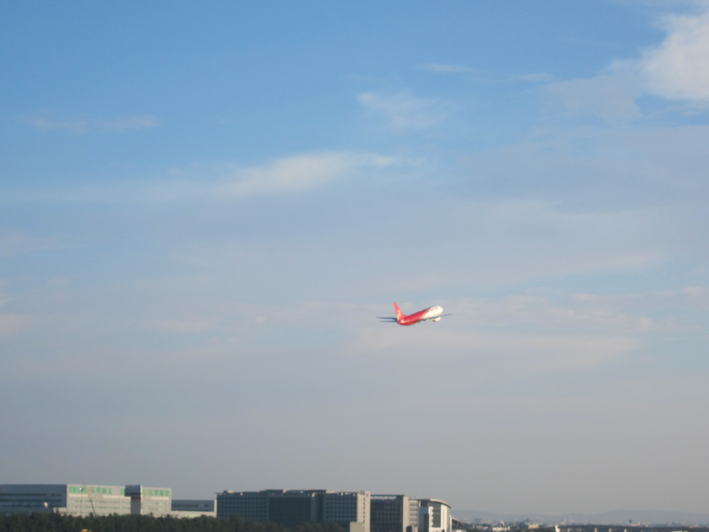 IMG_6518.JPG