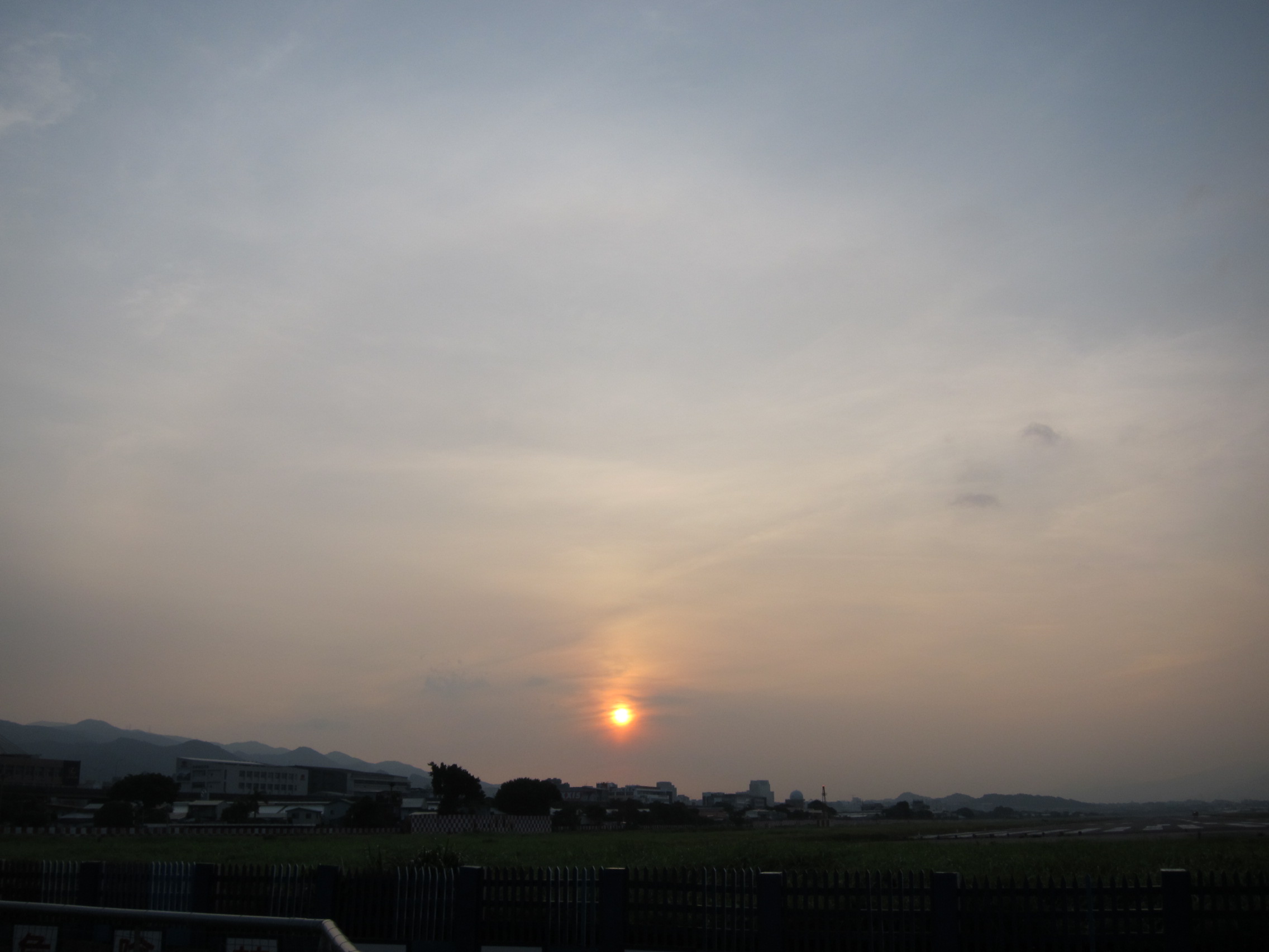 IMG_6595.JPG
