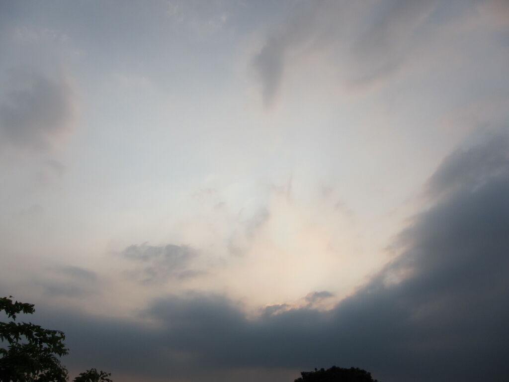 IMG_7495.JPG