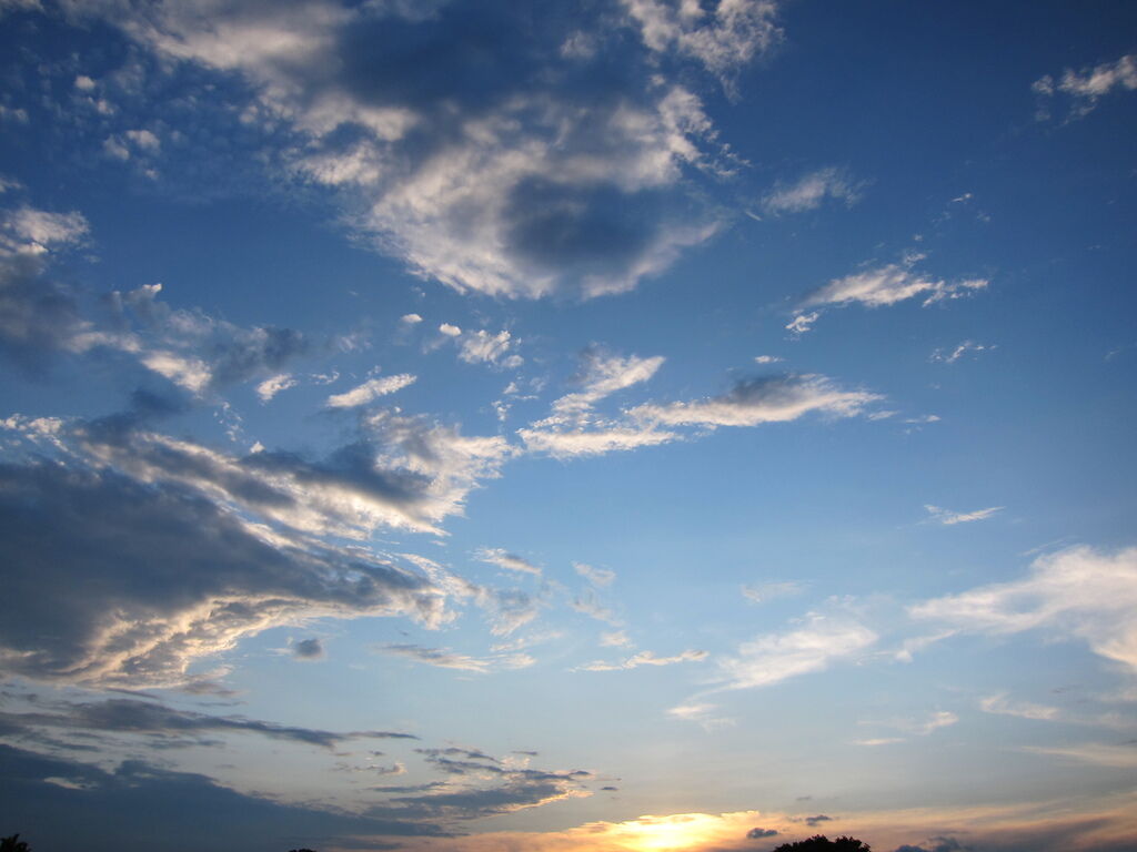 IMG_7683.JPG
