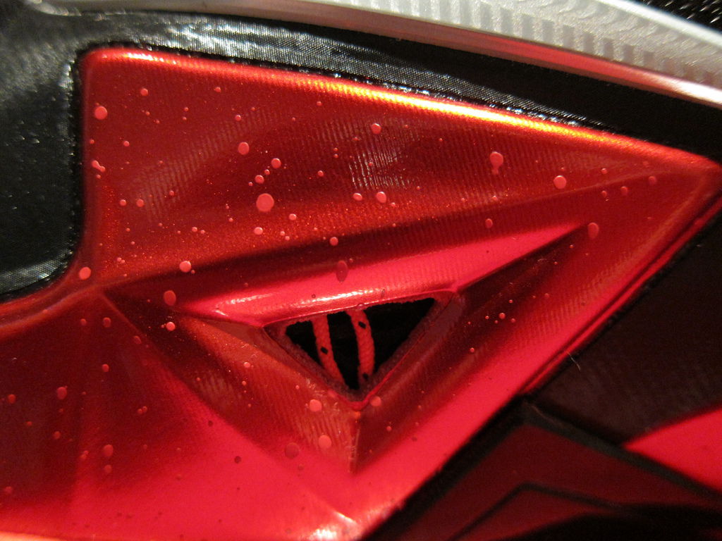IMG_4526 IMG_4526