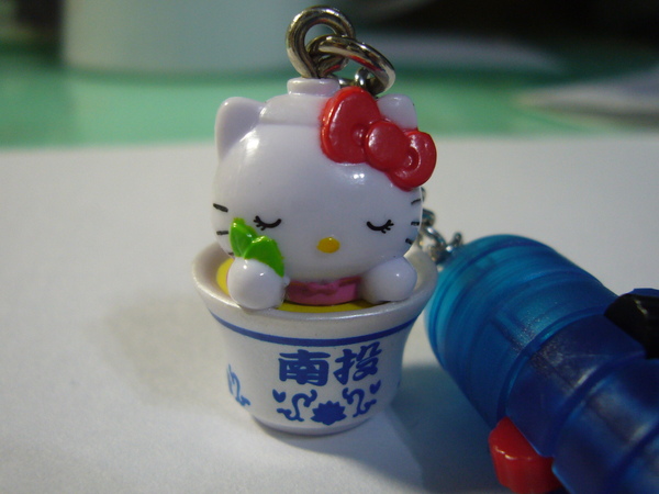 南投凍頂烏龍茶 01.JPG