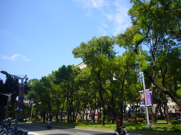 P1110393.JPG