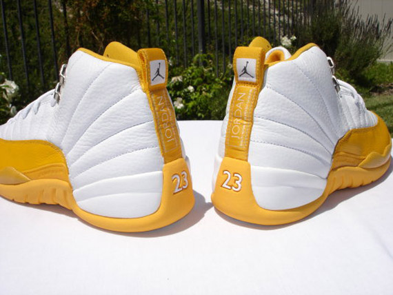 Air Jordan XII - Complete Collection 18.jpg