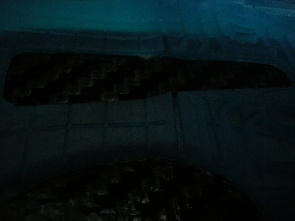 P1170733.JPG