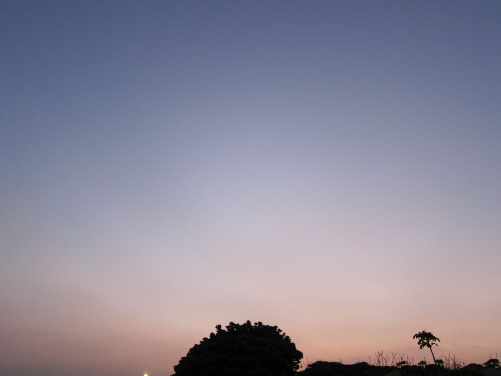 IMG_4946.JPG
