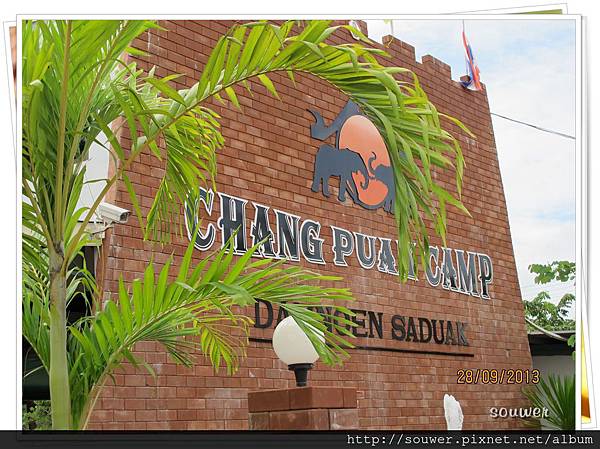 IMG_4951.JPG IMG_4951.JPG