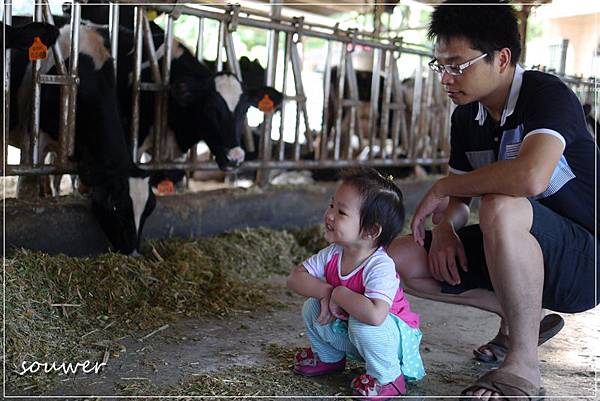 P1190876愛你~.JPG P1190876愛你~.JPG