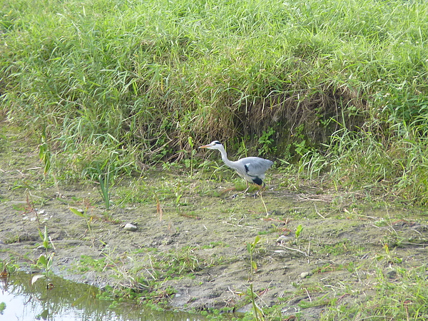 P1000493.JPG P1000493.JPG