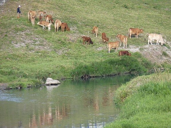 P1000491.JPG P1000491.JPG