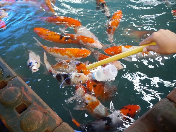 P1130559.jpg P1130559.jpg