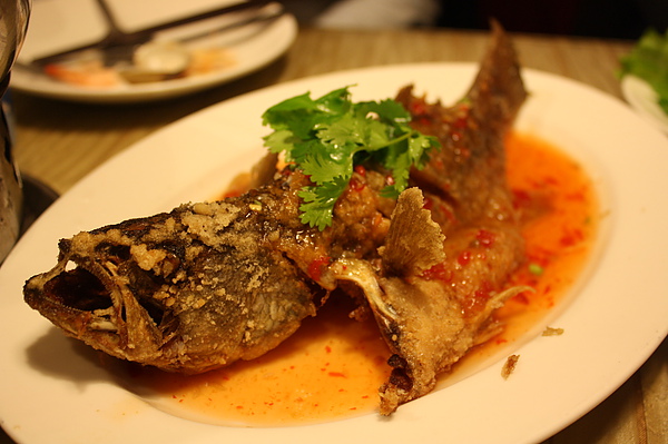 照片 024.jpg 照片 024.jpg