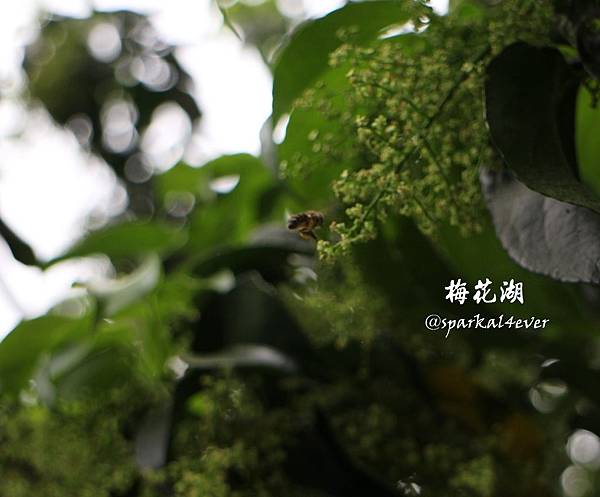 IMG_9011.JPG IMG_9011.JPG