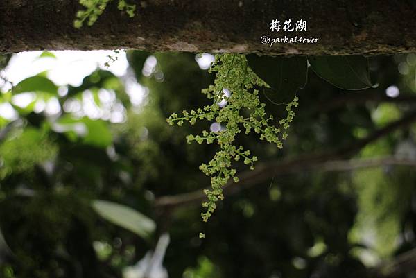 IMG_9018.JPG IMG_9018.JPG