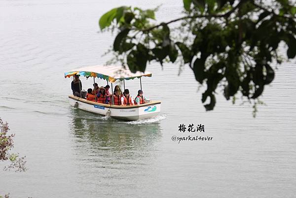 IMG_9019.JPG IMG_9019.JPG