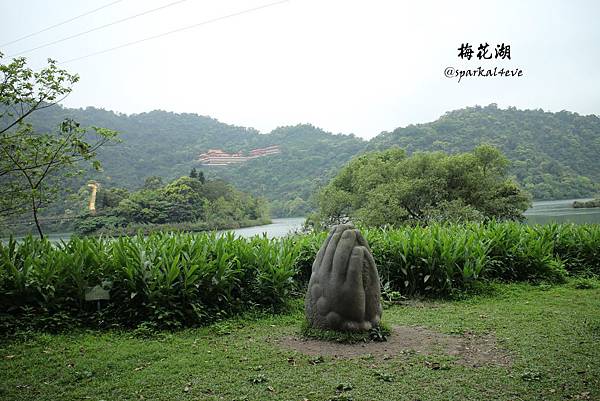 IMG_9051.JPG IMG_9051.JPG