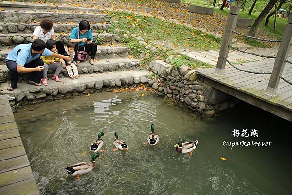 IMG_9067.JPG IMG_9067.JPG